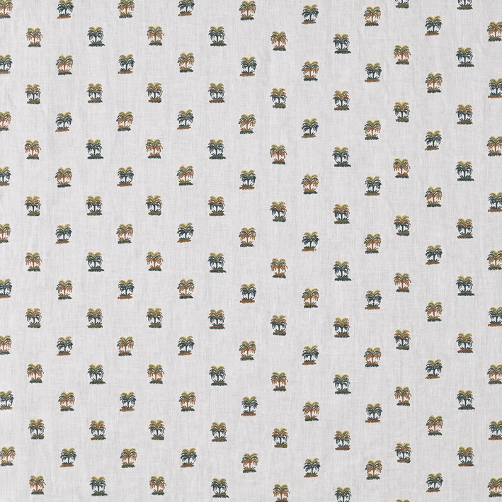 LES PALMIERS DE COMOGLIO