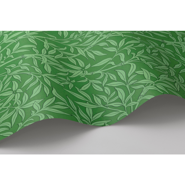 Bamboo Forest
