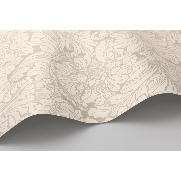 Acanthus