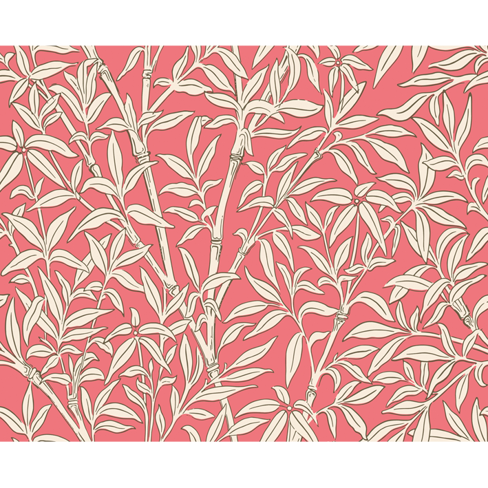 Bamboo Forest