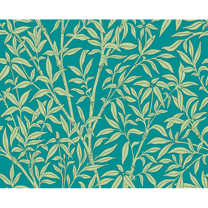 Bamboo Forest