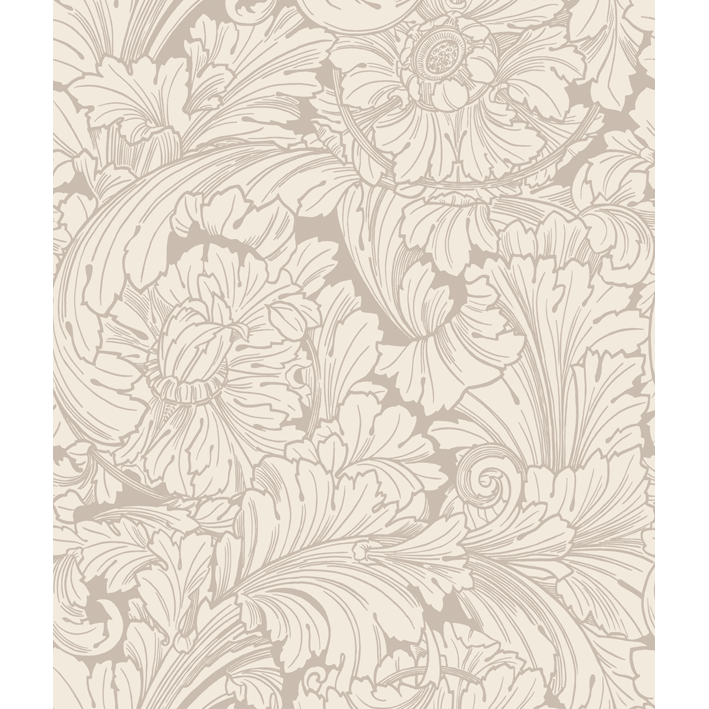Acanthus