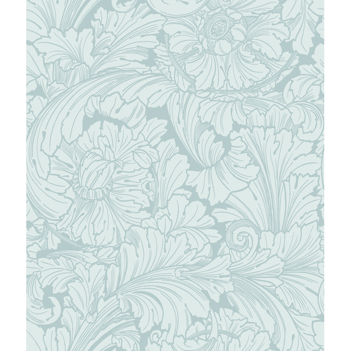 Acanthus
