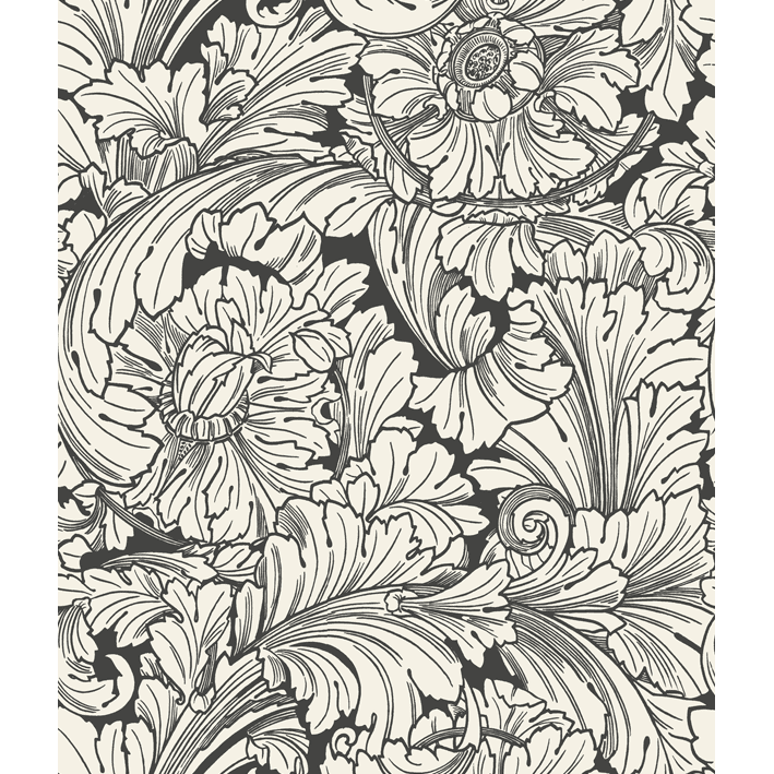 Acanthus