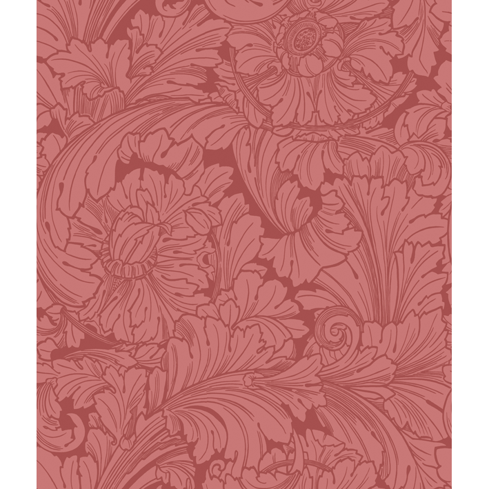Acanthus