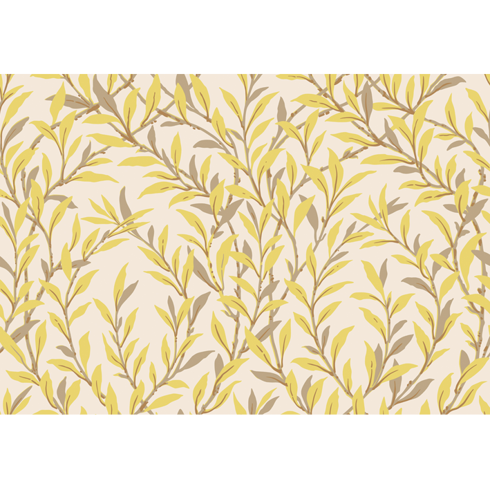 Willow Branch