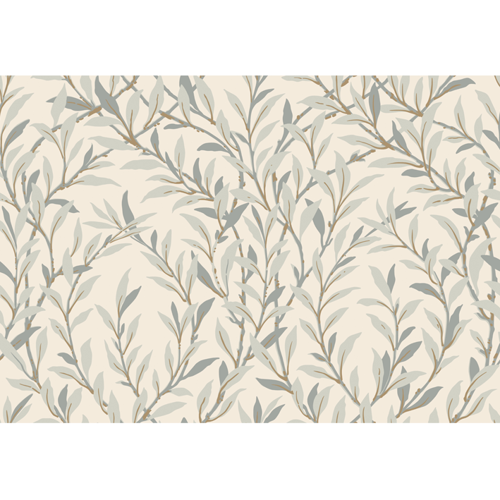 Willow Branch