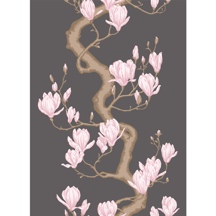 Magnolia Tree