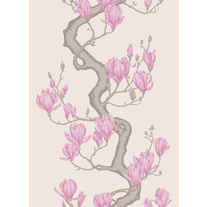 Magnolia Tree