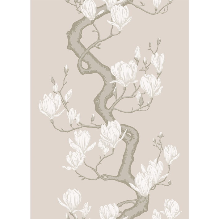 Magnolia Tree