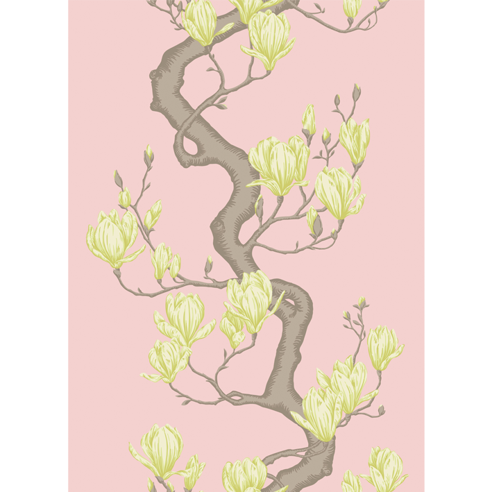 Magnolia Tree