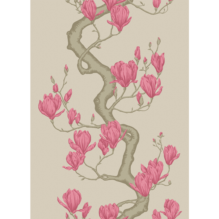 Magnolia Tree
