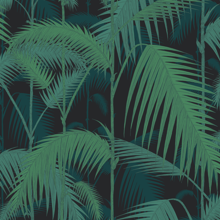 Palm Jungle