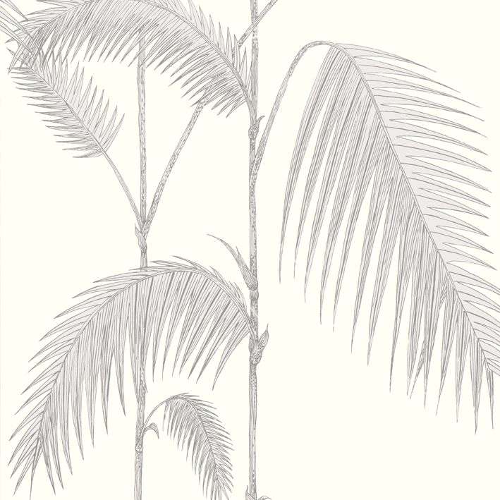 Palm Leaves
