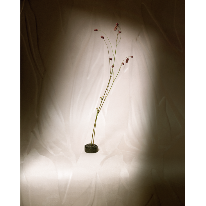 Herbier 