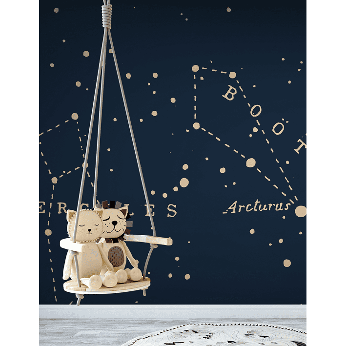 Great Bear Little Lion Blue