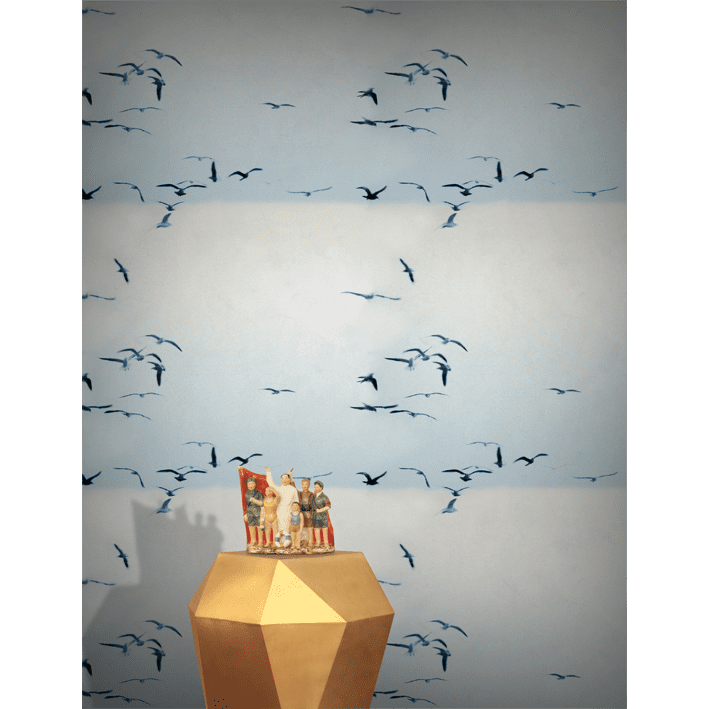 Portuguese Seagulls 02 Ice