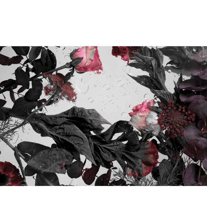 Crepusculum Original