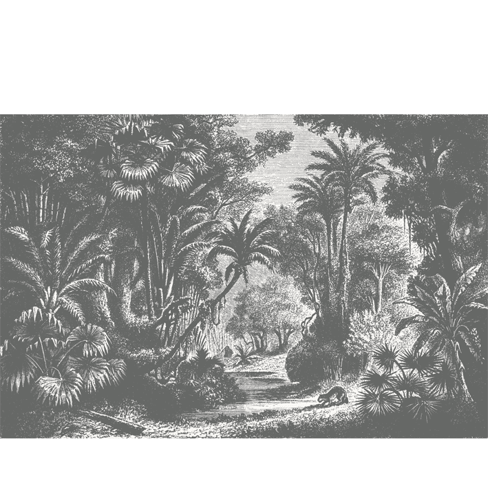 Lost in Goa Monochrome