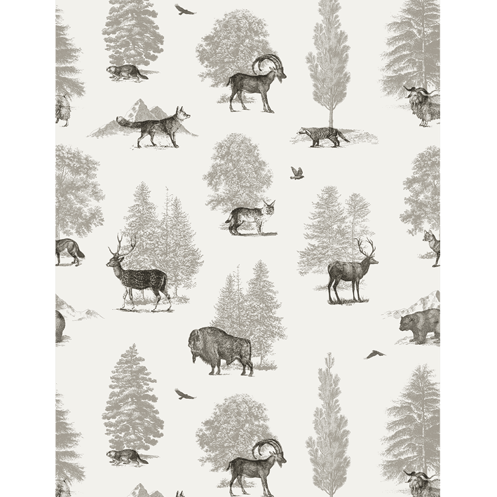 Where They Belong Winter Vintage