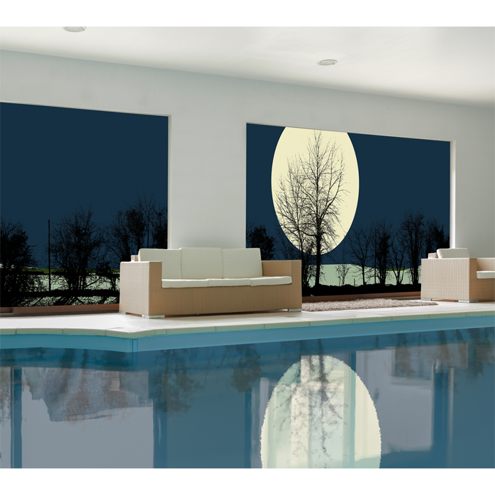 ARBRES ET CLAIR DE LUNE