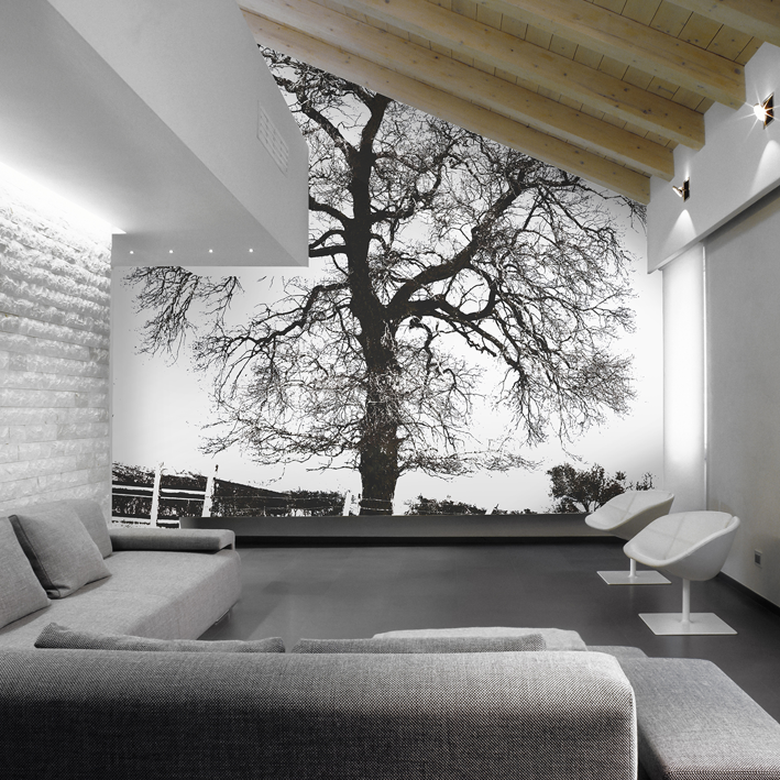 ARBRE NOIR SUR BLANC