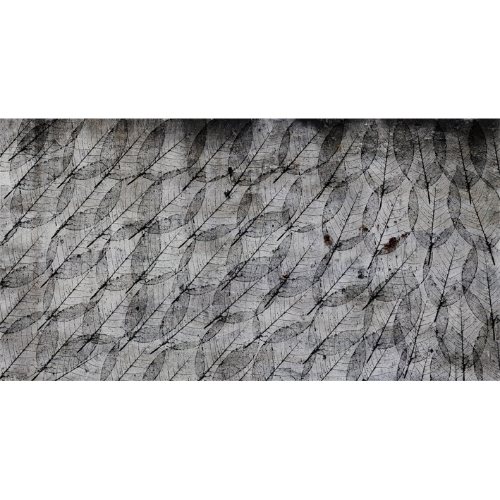 FEUILLES 1