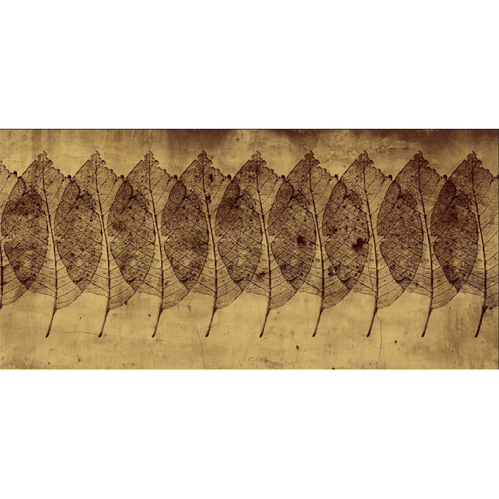 FEUILLES 3