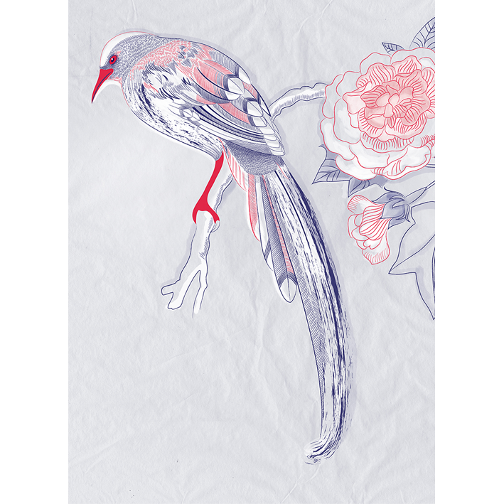 OISEAU 2 SUR DRAPÉ