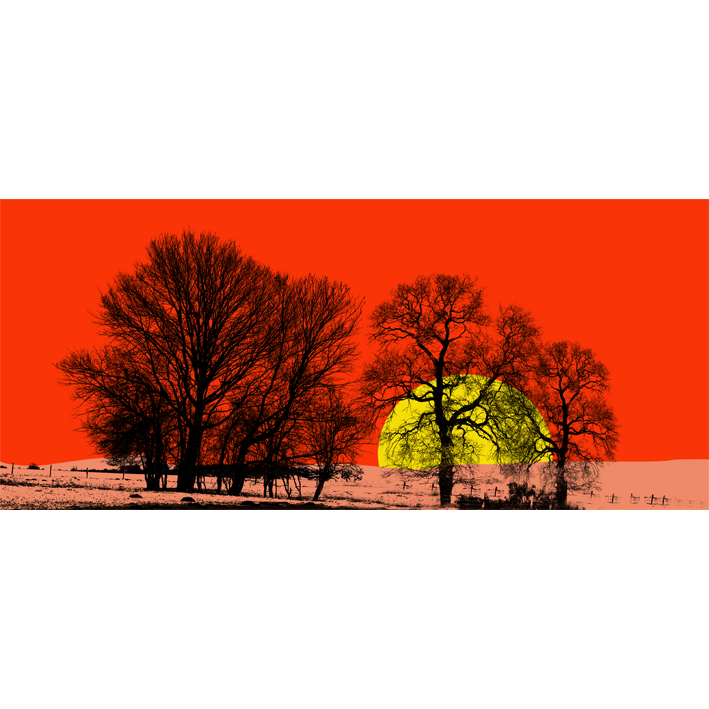 ARBRES ET COUCHER DE SOLEIL