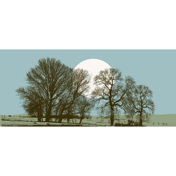 ARBRES EN HIVER JOUR
