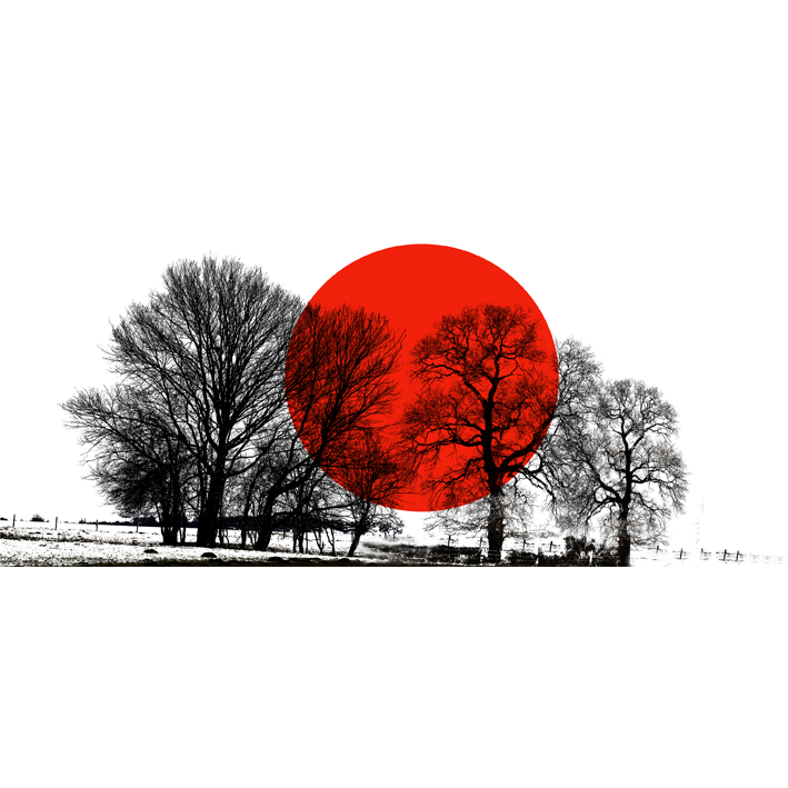 ARBRES JAPON