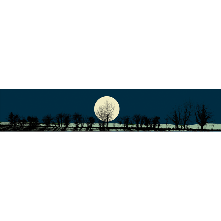 ARBRES ET CLAIR DE LUNE