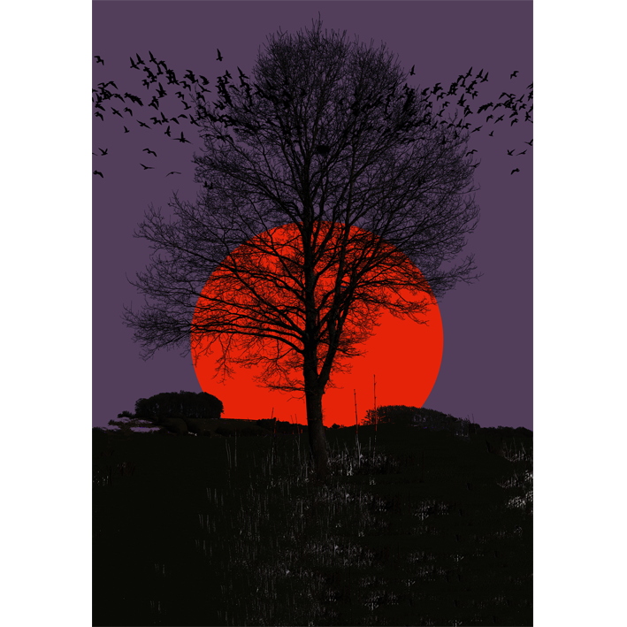 ARBRE ET SOLEIL COUCHANT