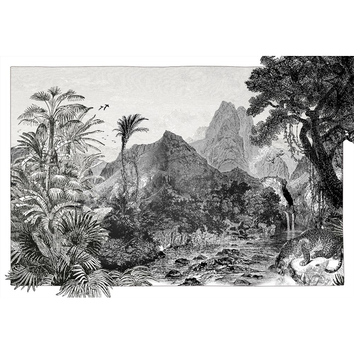NATURE-WILD-BLACK-AND-WHITE