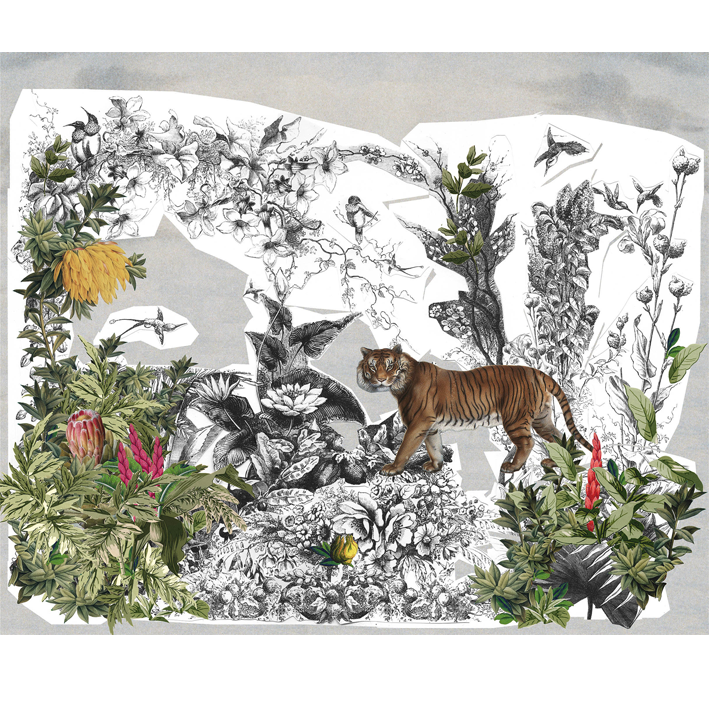 TIGRE ET FORÊT