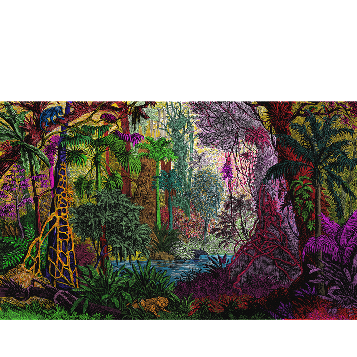 JUNGLE