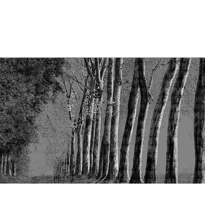 FORÊT AU CRAYON NOIR SUR GRIS