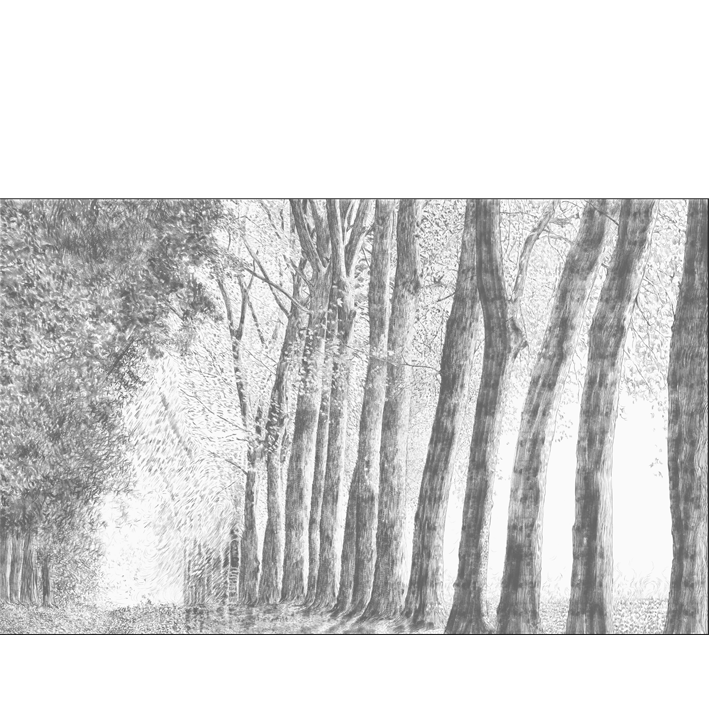 FORÊT AU CRAYON GRIS
