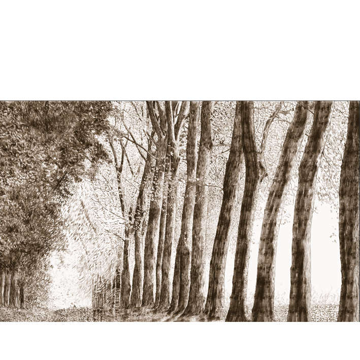 FORÊT AU CRAYON SEPIA