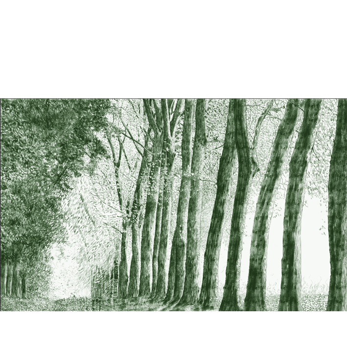 FORÊT AU CRAYON VERT