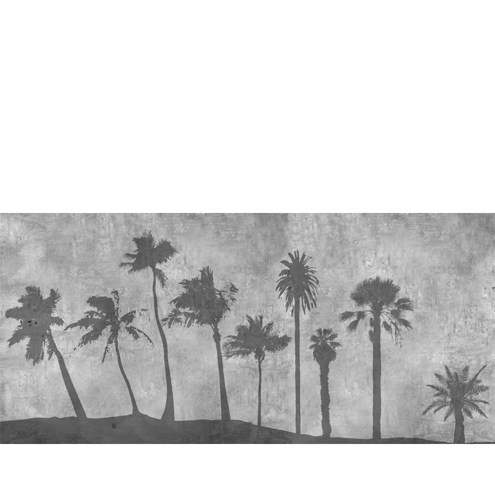 OMBRES DE PALMIERS