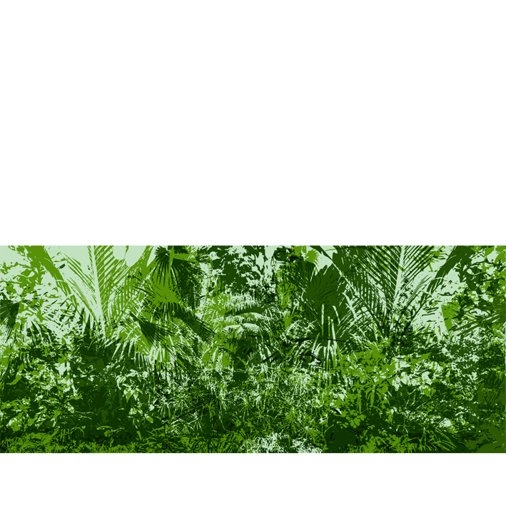 JUNGLE VERTE B