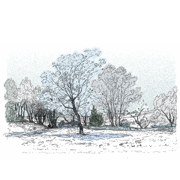 Paysage arbre hiver