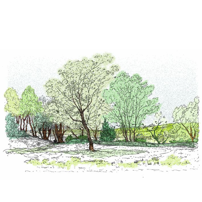 Paysage arbre printemps