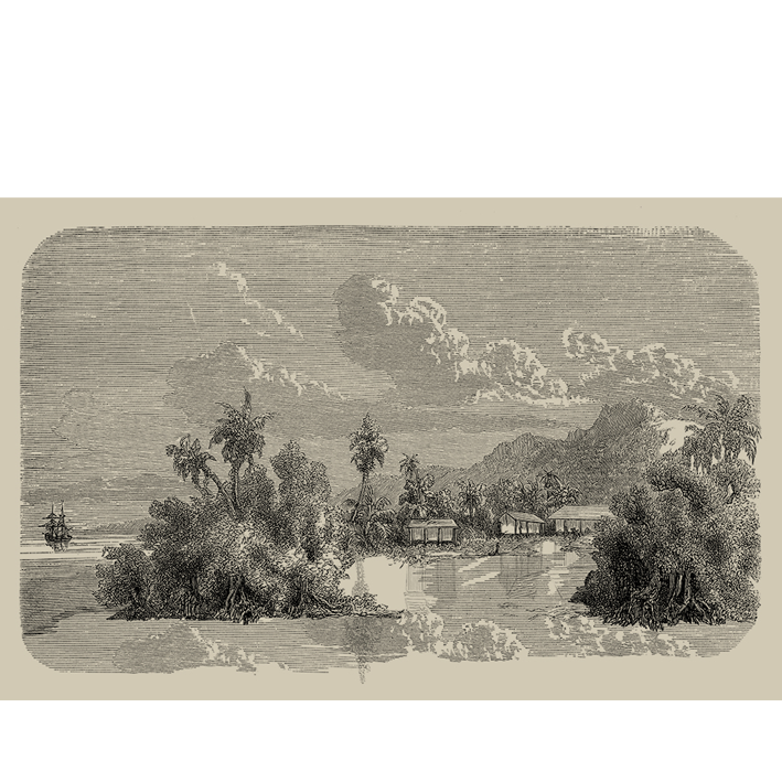 ÎLE PARADIS SÉPIA