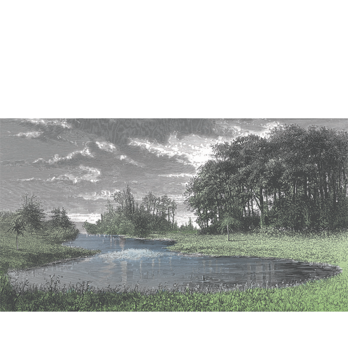 PAYSAGE VERT ET GRIS