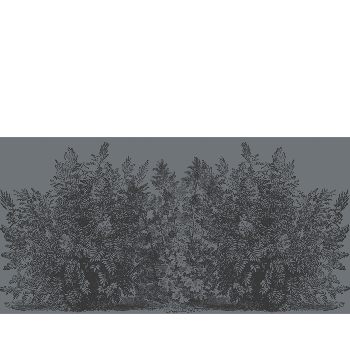 BUISSON GRIS FONCÉ