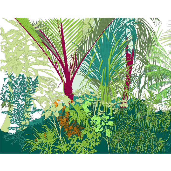 JUNGLE CARTOON