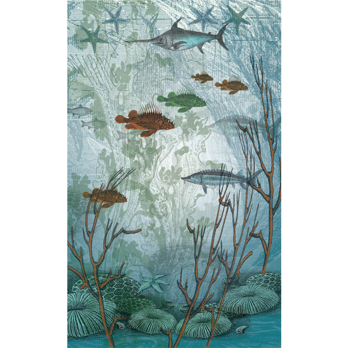 Fonds Marins 3